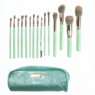 KIT DE BROCHAS GREEN EDITION LP214 MONTOC