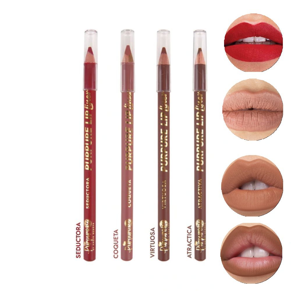 LAPIZ DE LABIOS LIPLINER PURPURE