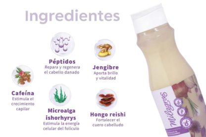 Shampoo De Cebolla Milagros - Imagen 2